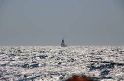 �agiel na horyzoncie, Adriatyk, fotografia Marek Pi�tkowski